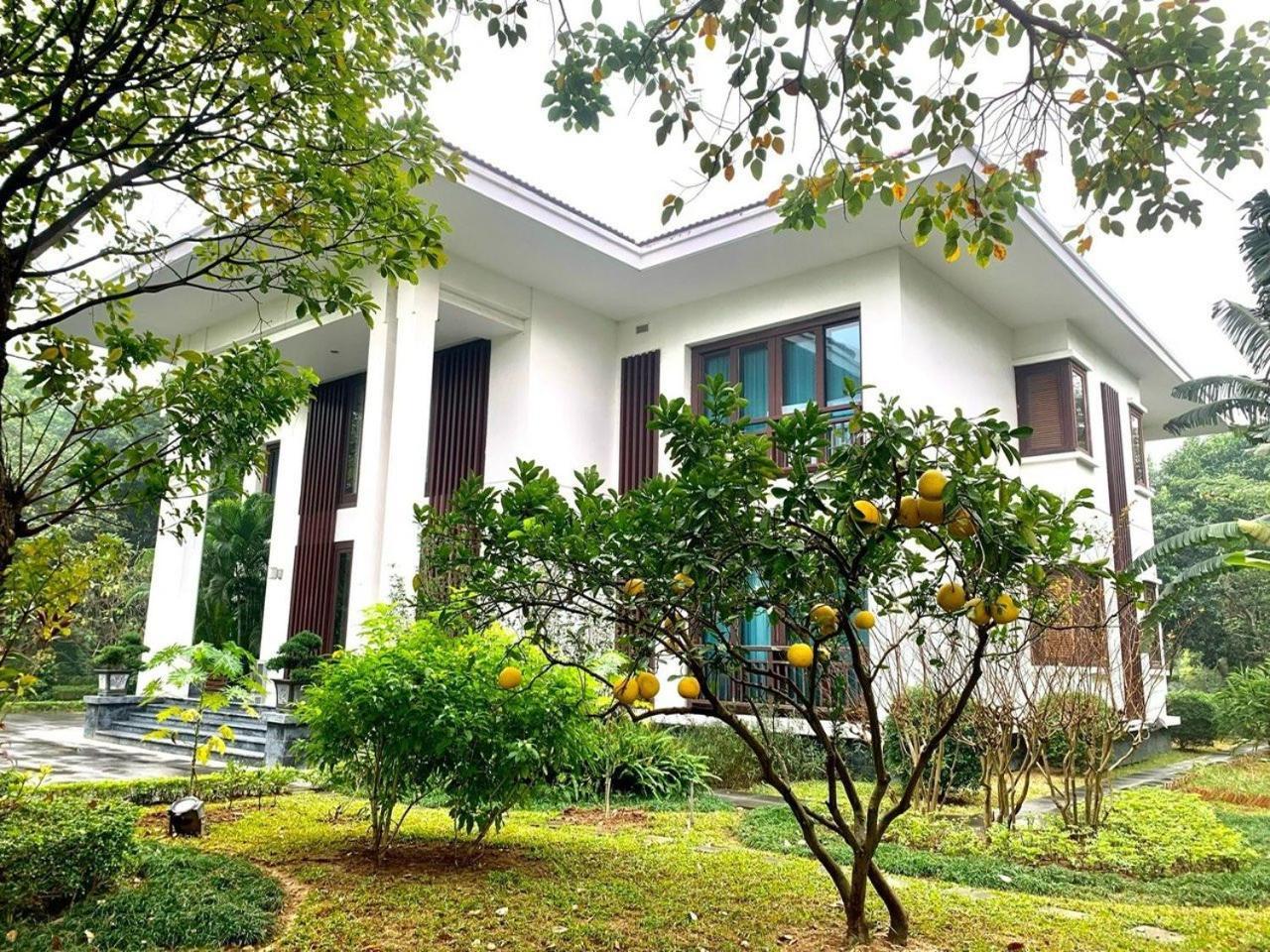 Ncc Garden Villas - Ncc Hotel Hanoi Exteriör bild