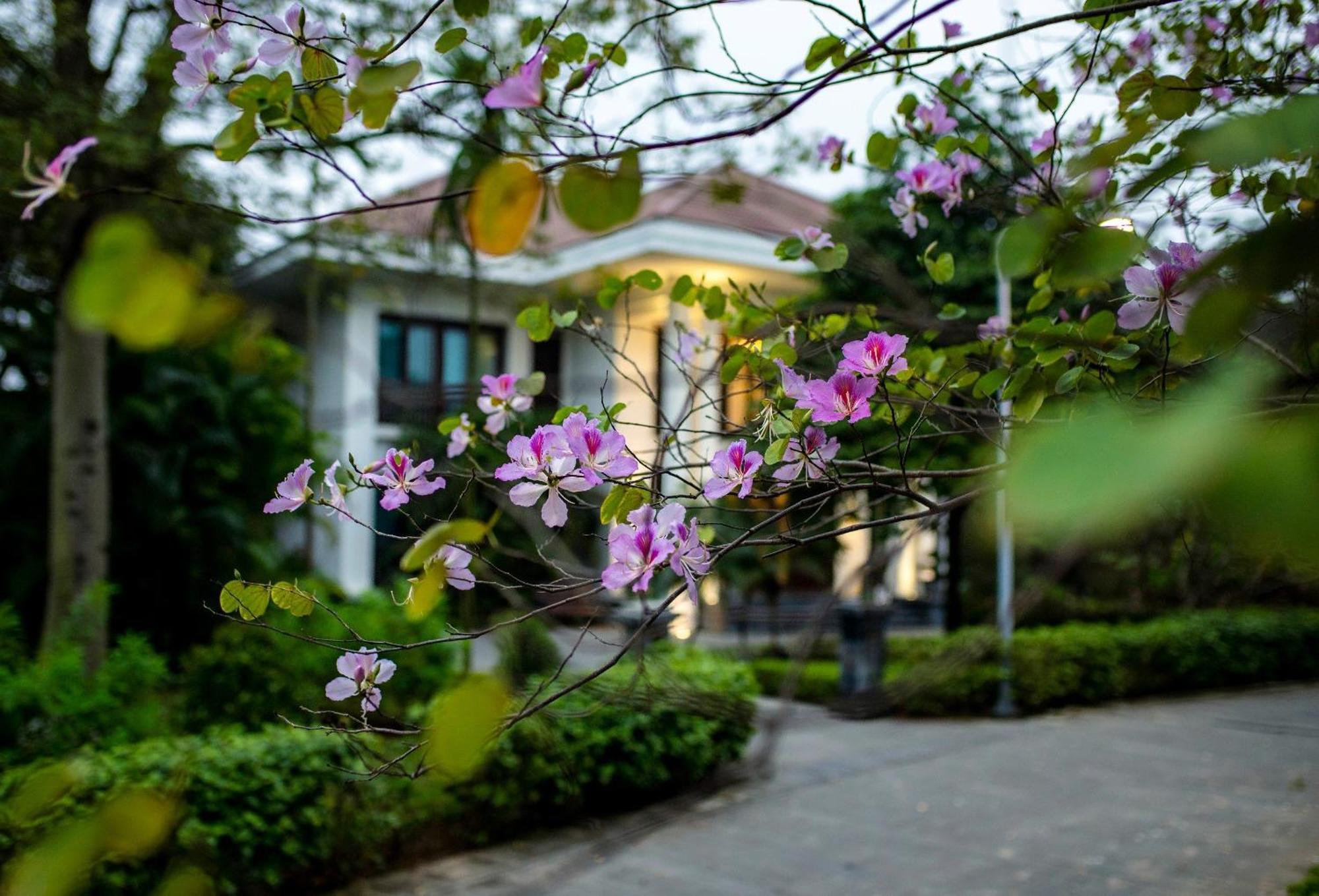 Ncc Garden Villas - Ncc Hotel Hanoi Exteriör bild